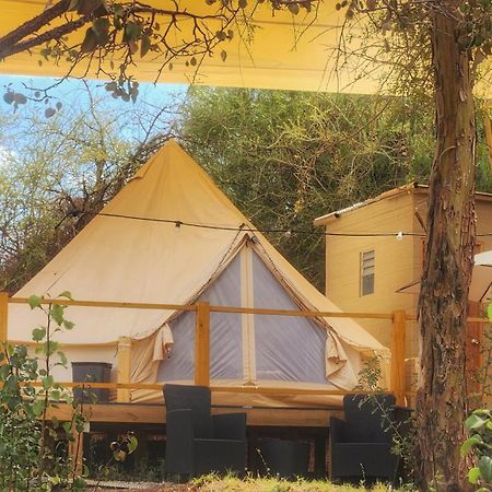 Glamping Dunas Del Sol Σαν Πέδρο ντε Ατακάμα Εξωτερικό φωτογραφία