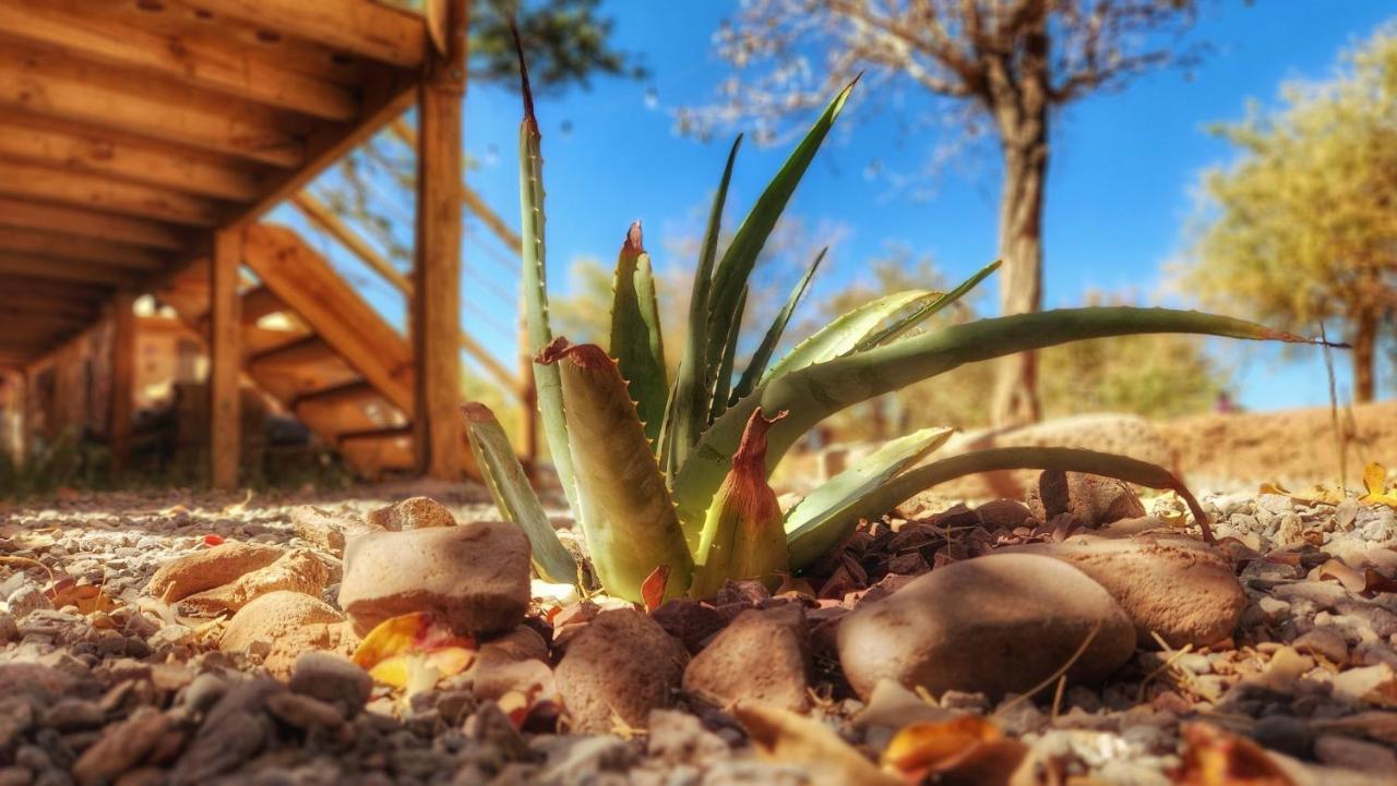 Glamping Dunas Del Sol Σαν Πέδρο ντε Ατακάμα Εξωτερικό φωτογραφία
