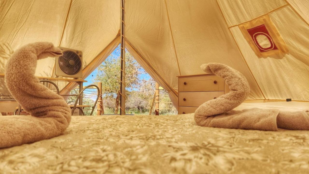 Glamping Dunas Del Sol Σαν Πέδρο ντε Ατακάμα Εξωτερικό φωτογραφία